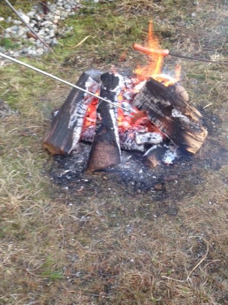 Pølsegrilling er dikk