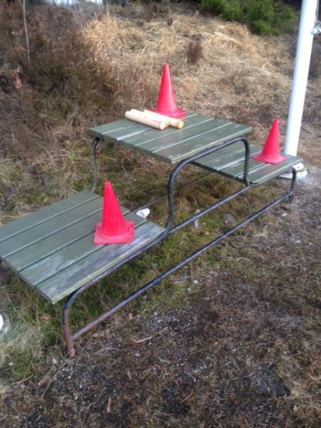 Og hvem kommer på pallen?