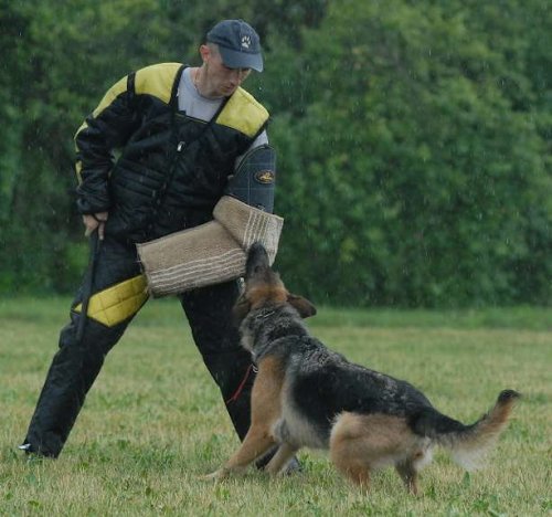 Et noe svakt bitt da hunden blir litt presset